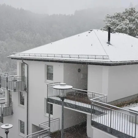Geraeumiges Mit Balkon In Апартаменты Виллинген