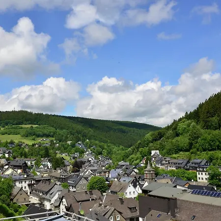 Geraeumiges Mit Balkon In Apartmán Willingen (Upland)