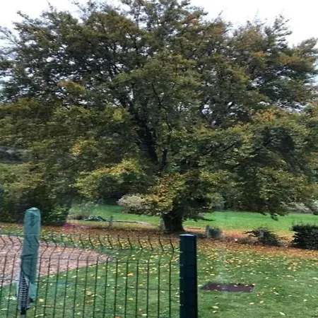 Geraeumiges Mit Balkon In Appartement *