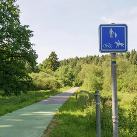 Appartement Geraeumiges Mit Balkon In Willingen (Upland)