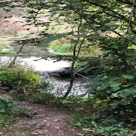 Geraeumiges Mit Balkon In * Willingen (Upland)
