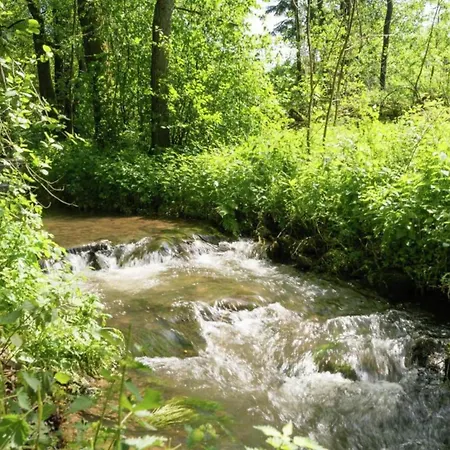 Geraeumiges Mit Balkon In Apartmán Willingen (Upland)